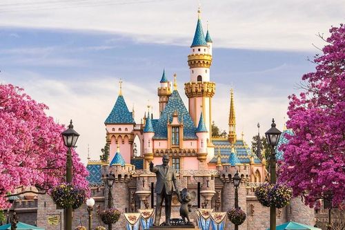 Disney đóng cửa toàn bộ công viên, đóng băng hoạt động du thuyền