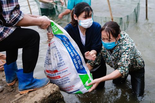 Chủ trường, giáo viên thành nông dân trong mùa dịch Covid-19