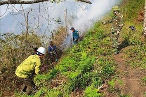 Lào Cai khống chế nhanh nhiều điểm cháy giáp ranh rừng