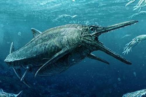 Quái vật biển đáng sợ hơn cả quái vật hồ Loch Ness