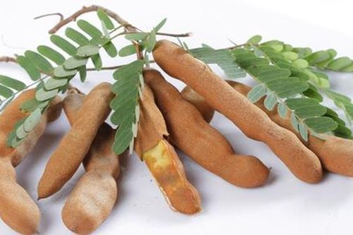 Tác dụng kỳ diệu của quả me với sức khỏe