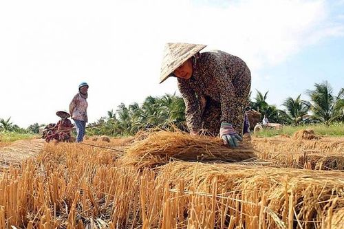 UNDP hỗ trợ Việt Nam 30,2 triệu USD nhằm tăng cường khả năng chống chịu với biến đổi khí hậu