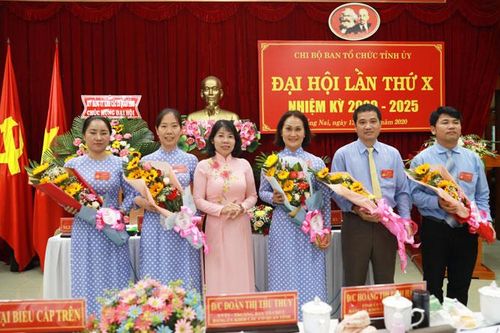 Đại hội Chi bộ Ban Tổ chức Tỉnh ủy lần thứ X