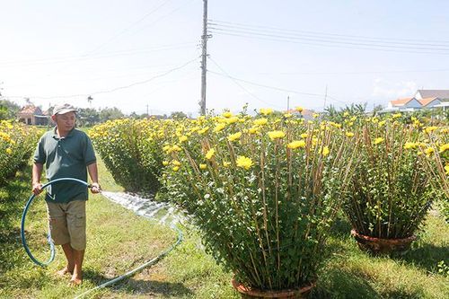 Ninh Hòa: Đề xuất hỗ trợ làng nghề