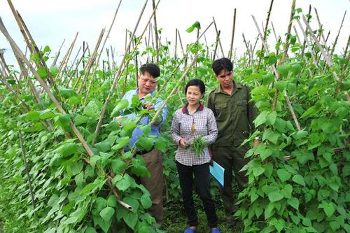 Yên Sơn nâng cao hiệu quả hoạt động của HĐND cấp xã