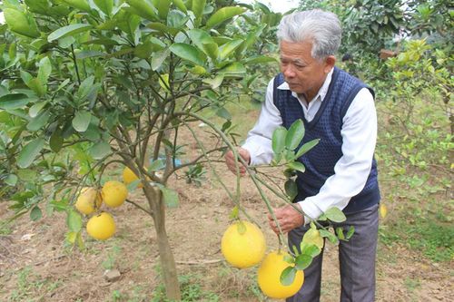 'Điểm tựa' cho hội viên phát triển kinh tế