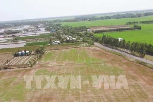 Nước mặn bủa vây ĐBSCL - Bài 1: Gồng mình chống chọi
