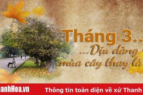 Tháng 3 – Dịu dàng mùa cây thay lá