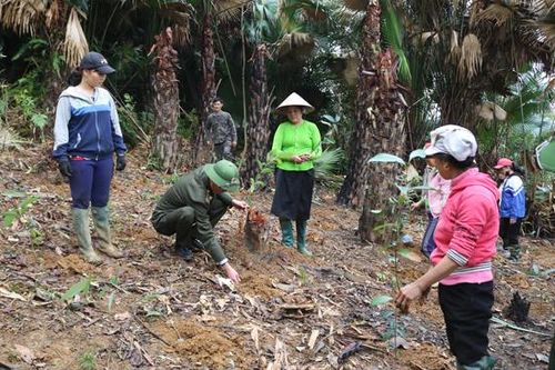 Tích cực trồng rừng vụ xuân