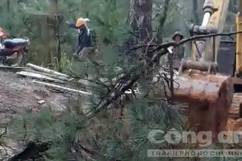 Lâm Đồng: Đình chỉ thi công dự án bệnh viện ở hồ Tuyền Lâm