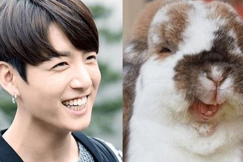 BTS: Jungkook chính là 'chú thỏ' được ARMY yêu thích nhất