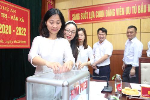 Không phân biệt loại hình đào tạo chuyên môn, lý luận chính trị khi bố trí nhân sự cấp ủy