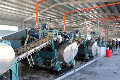 VRG quy hoạch 3 nhà máy chế biến ở phía Bắc