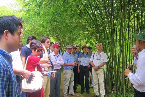 Dịch COVID-19: Quảng Trị tạm dừng đón khách tại các di tích
