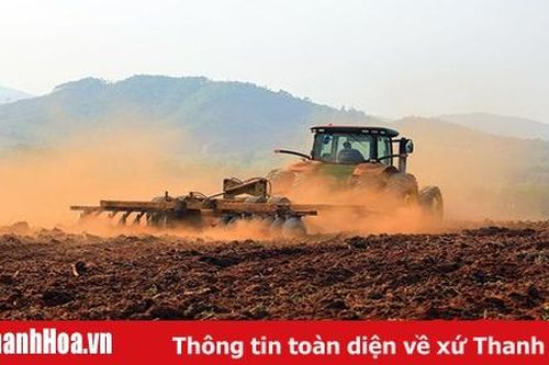 Kỳ vọng về trang trại bò sữa quy mô lớn tại huyện Nông Cống