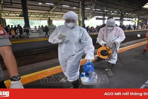 Bộ trưởng Giao thông Indonesia nhập viện điều trị vì mắc bệnh COVID-19