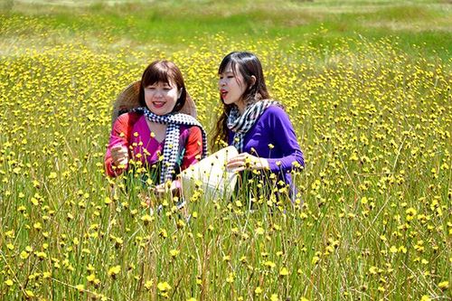 'Sửng sốt' trước đồng vàng hoàng đầu ấn