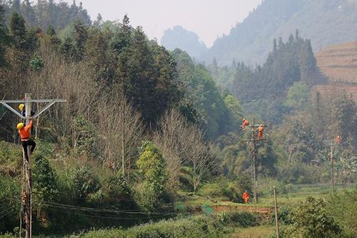 Điện lực Bắc Hà: Sửa chữa 19,4km đường dây 35kv