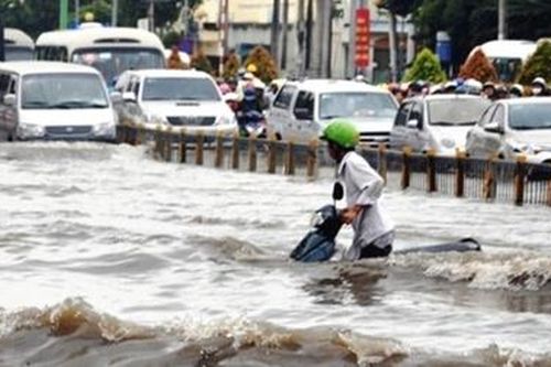 TP Hồ Chí Minh nâng cao năng lực ứng phó thiên tai ngay tại cơ sở
