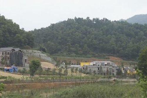 Xử lý nghiêm địa phương sử dụng đất rừng không đúng mục đích