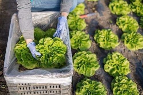 Phương pháp mới giúp trị lành xương nhanh hơn ở người bệnh đái tháo đường