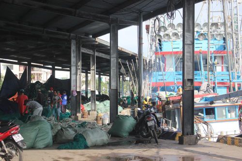 Thiếu lao động đi biển, nghề cá khó khăn