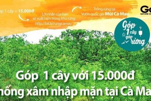 Cà Mau: Xác minh việc vận động tiền trồng rừng chống xâm nhập mặn