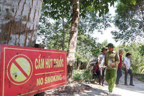 Bảo vệ 'lá phổi xanh' Đồng bằng sông Cửu Long - Bài cuối: Bảo vệ và phát triển rừng