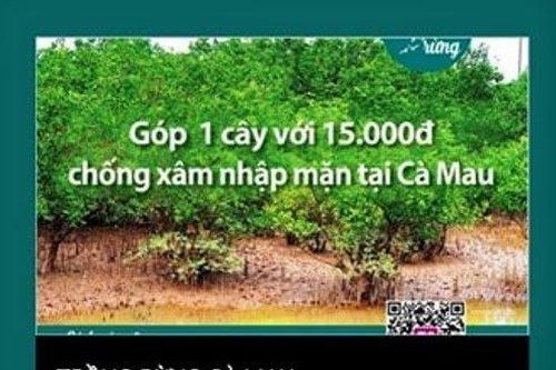 'Hỏa tốc' xác minh việc vận động trồng rừng tại vườn Quốc gia Mũi Cà Mau