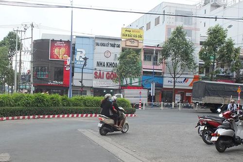 Cần cắt tỉa chiều cao của các cây trúc kiểng tại bồn hoa trước Bưu điện tỉnh