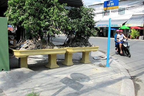 Chậu cảnh gây cản trở lối đi bộ