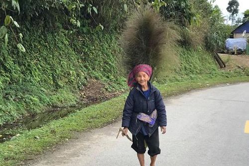 Lộc rừng mùa ấm áp