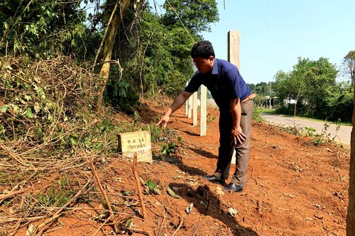 Công ty Sông Hiền xâm lấn rừng nguyên sinh