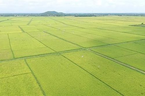 Vĩnh Linh: Hình thành 4 vùng sản xuất nông nghiệp tập trung với diện tích trên 10.400 ha