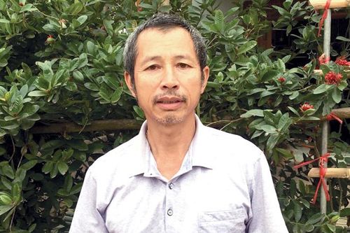 Thu nhập cao từ trồng mía