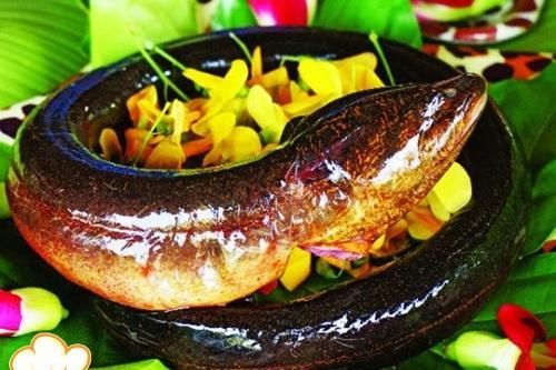 Cây lá giang chữa được nhiều bệnh