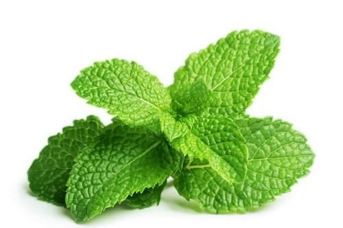 9 bài thuốc phòng trị cảm cúm