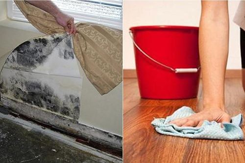 Bí quyết giữ nhà luôn khô ráo trong thời tiết nồm ẩm