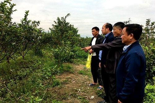 Những chuyển biến tích cực ở Nho Quan