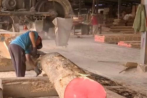 Khó khăn bủa vây ngành gỗ ở Đồng Nai