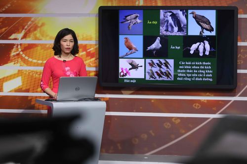 Triển khai dạy học trên truyền hình cho học sinh Hà Nội từ 19/3