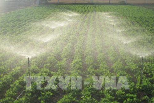 Mô hình tưới nước tiết kiệm ứng phó với khô hạn