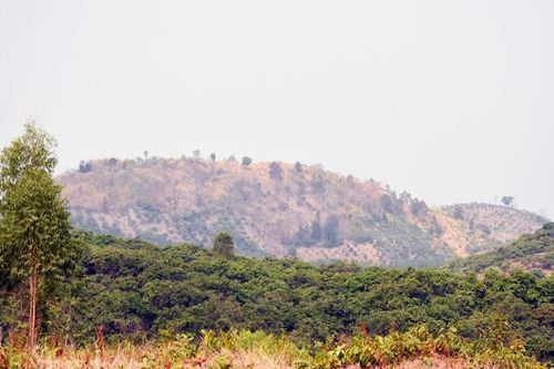 Kbang: Thu hồi 6 bìa đỏ cấp trái phép trên đất lâm nghiệp