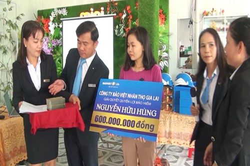 Bảo Việt Nhân thọ: Chi trả 600 triệu đồng cho khách hàng gặp rủi ro