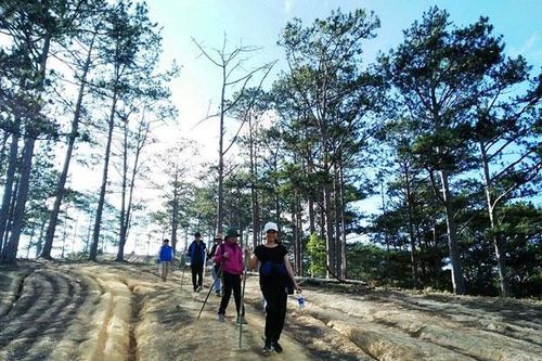 Tạm dừng trekking tuyến Tà Năng - Phan Dũng