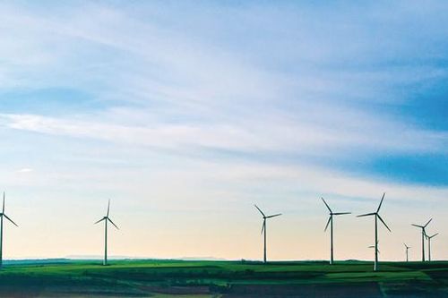 Điện gió Trung Nam được điều chỉnh tăng quy mô công suất lên 151,95 MW