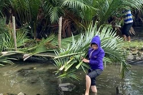 Lợi ích từ rừng ngập mặn ven phá Tam Giang – Cầu Hai
