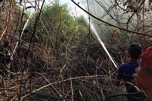 Dập tắt đám cháy bên trong rừng tràm ở Vĩnh Thuận