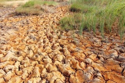 Ký kết hỗ trợ hạn hán và xâm nhập mặn tại ĐBSCL