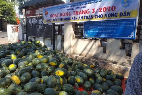 Lại kêu gọi 'giải cứu' dưa hấu